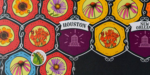 Product Spotlight: Mariposas