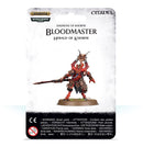Age of Sigmar: Blades of Khorne - Bloodmaster, Herald of Khorne