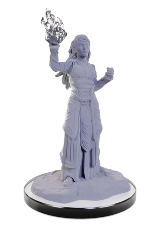 D&D Mini: Elf Wizards