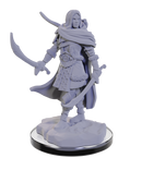 D&D Minis: Human Rangers