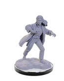 D&D Mini: Reborn Paladin & Warlock