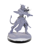 D&D Mini: Tiefling Warlocks