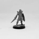 Next Level Encounters - PC Set: Aasimar Paladin & Dragonborn Cleric