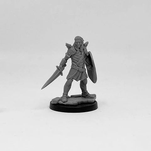 Next Level Encounters - PC Set: Aasimar Paladin & Dragonborn Cleric