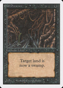 Evil Presence [Unlimited Edition], MTG Single - Gamers Grove