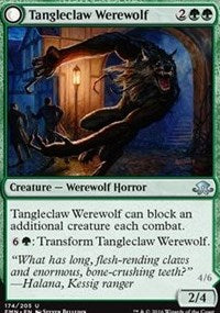 Tangleclaw Werewolf // Fibrous Entangler [Eldritch Moon]