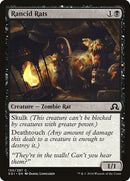 Rancid Rats [Shadows over Innistrad], MTG Single - Gamers Grove