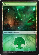 Forest - Golgari (A06) [GRN Ravnica Weekend]