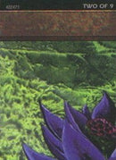 Black Lotus (2 of 9) (Ultra Pro Puzzle Quest) [Media Promos]