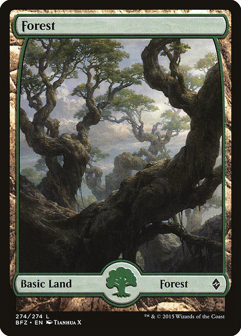 Forest (274) [Battle for Zendikar]