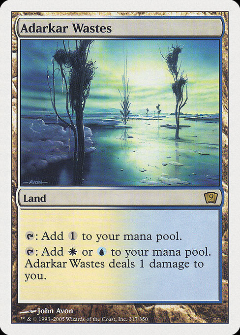 Adarkar Wastes [Ninth Edition], MTG Single - Gamers Grove