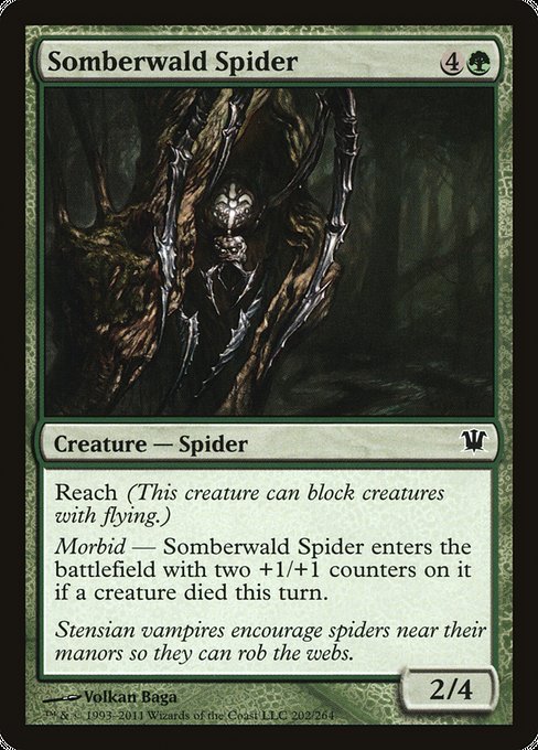 Somberwald Spider [Innistrad], MTG Single - Gamers Grove
