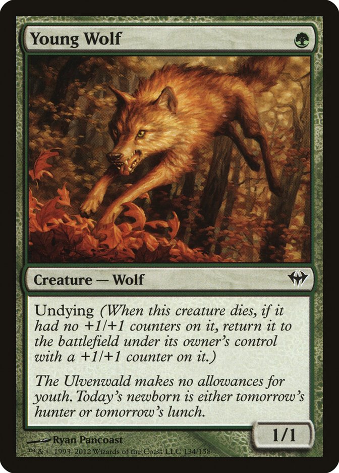 Young Wolf [Dark Ascension], MTG Single - Gamers Grove