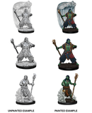 D&D Nolzur's Marvelous Unpainted Miniatures: Water Genasi Male Druid