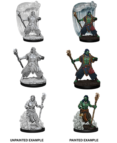 D&D Nolzur's Marvelous Unpainted Miniatures: Water Genasi Male Druid