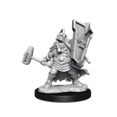 D&D Frameworks: Dwarf Cleric Female