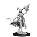 D&D Frameworks: Human Druid Female