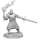 D&D Frameworks: Human Fighter Male