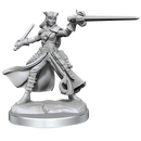 D&D Frameworks: Tiefling Rogue Female