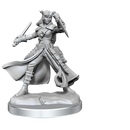 D&D Frameworks: Tiefling Rogue Female