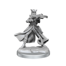 D&D Frameworks: Tiefling Rogue Female