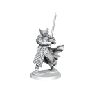 D&D Frameworks: Dragonborn Paladin Male