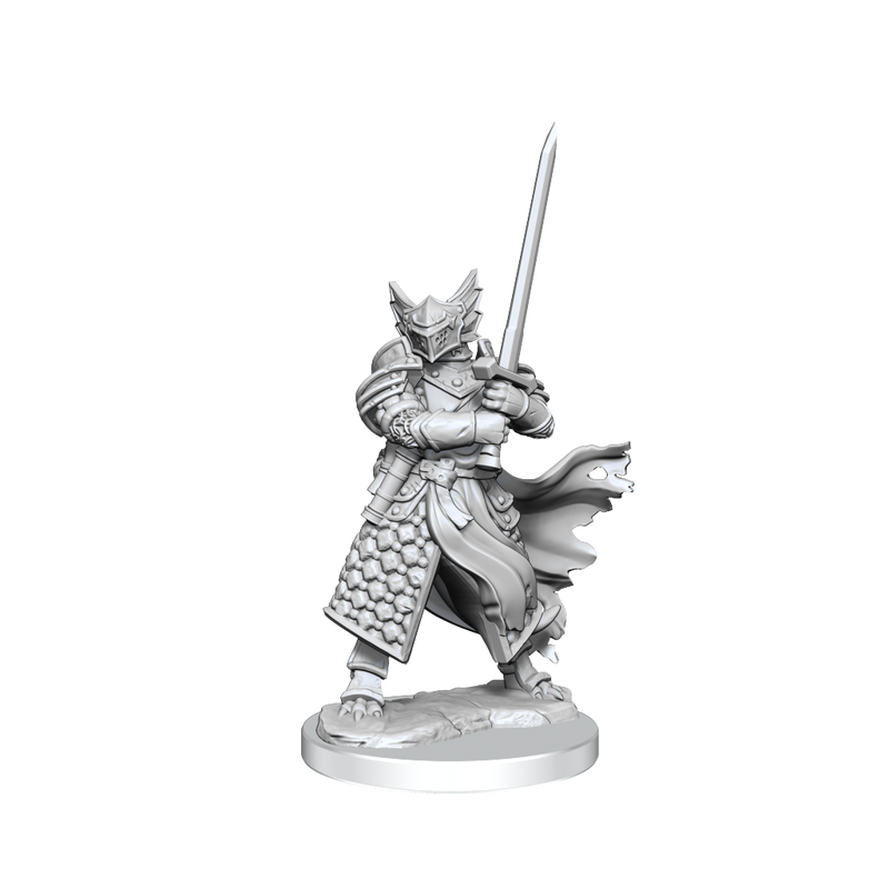 D&D Frameworks: Dragonborn Paladin Male