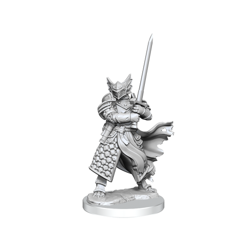 D&D Frameworks: Dragonborn Paladin Male