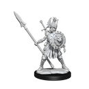 D&D Frameworks: Human Fighter Female