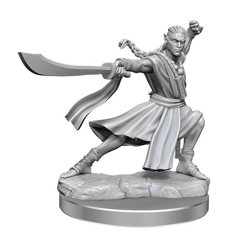 D&D Frameworks: Elf Monk Male