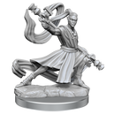 D&D Frameworks: Elf Monk Male