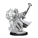 D&D Frameworks: Human Wizard Male