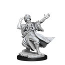 D&D Frameworks: Human Wizard Male