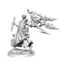 D&D Frameworks: Dragonborn Sorcerer Female
