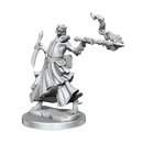 D&D Frameworks: Dragonborn Sorcerer Female