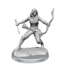 D&D Frameworks: Human Rogue Female