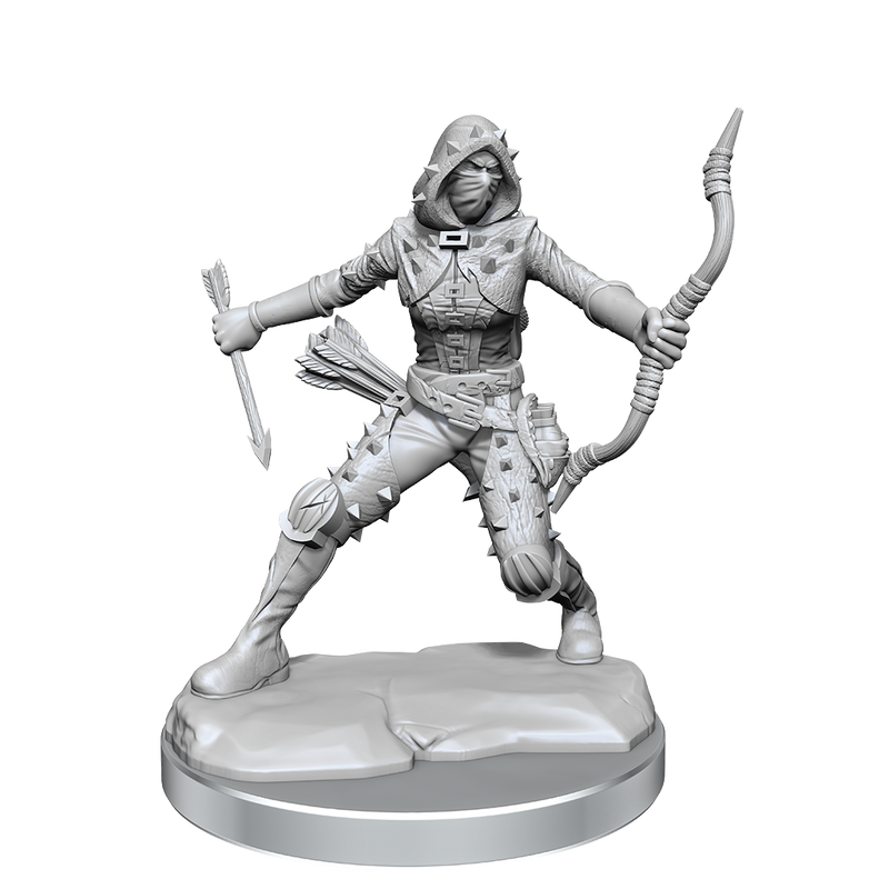 D&D Frameworks: Human Rogue Female