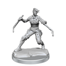 D&D Frameworks: Human Rogue Female