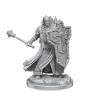 D&D Frameworks: Human Cleric Male