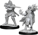 D&D Nolzur`s Marvelous Miniatures: Hobgoblin Fighter Male & Hobgoblin Wizard Female