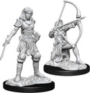 Pathfinder Deep Cuts Miniatures: Human Fighter Female