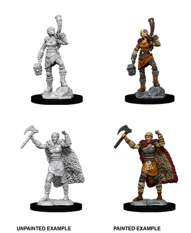 D&D Nolzur's Marvelous Miniatures: Female Human Barbarian