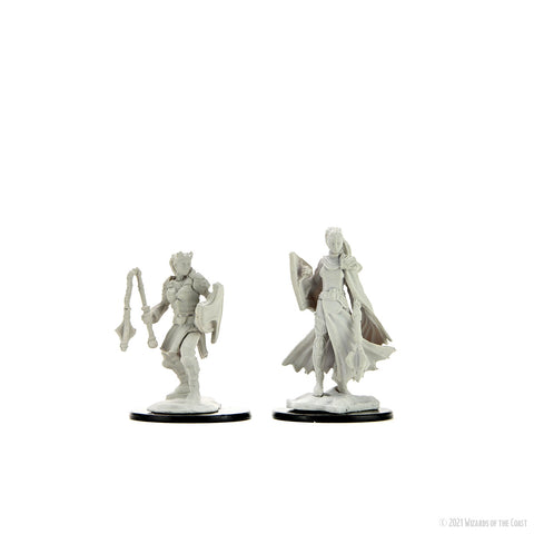 D&D Nolzur's Marvelous Miniatures: Kalashtar Cleric  Female