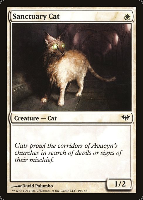Sanctuary Cat [Dark Ascension]