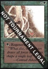 Wall of Brambles (IE) [Intl. Collectors’ Edition]