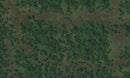 D&D Icons of the Realms: Forest Battle Mat