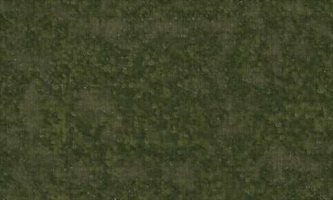 D&D Icons of the Realms: Grasslands Battle Mat