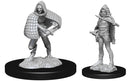 D&D Nolzur's Marvelous Miniatures: Darkling Elder & Darklings