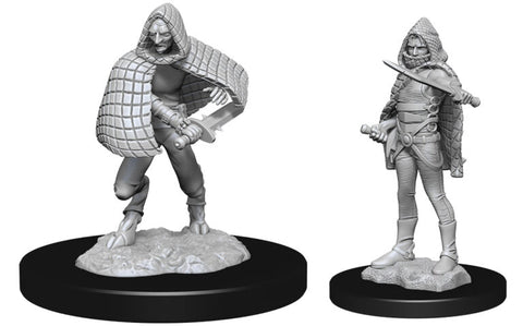 D&D Nolzur's Marvelous Miniatures: Darkling Elder & Darklings