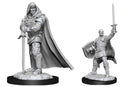 D&D Nolzur's Marvelous Miniatures: Male Human Paladin